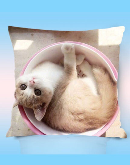 Fixed style pillow-Cat pillow