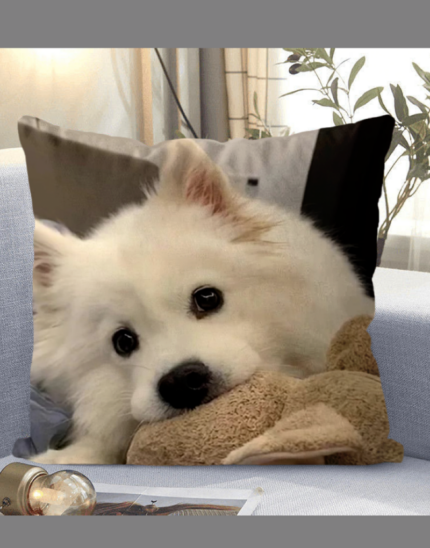 Fixed style pillow-Dog pillow